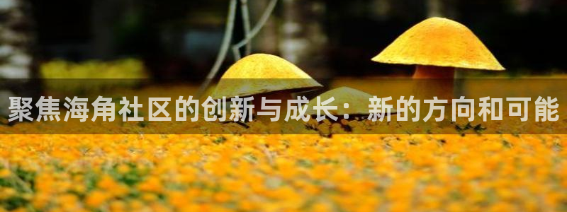 谁有海角社区啊